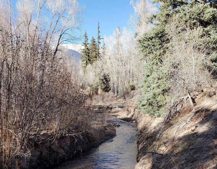 Medano Creek flows between pine and cottonwood trees, with Mt. Herard visible in the backgroundMedano creek is one of the main creeks in the park, flowing out of the mountains in the preserve towards the dunes.  Here, near Indian Grove, the water is usually reliable, but must be filtered, boiled, or treated before drinking.