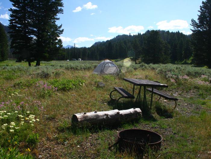 Slough Creek Campground site #16