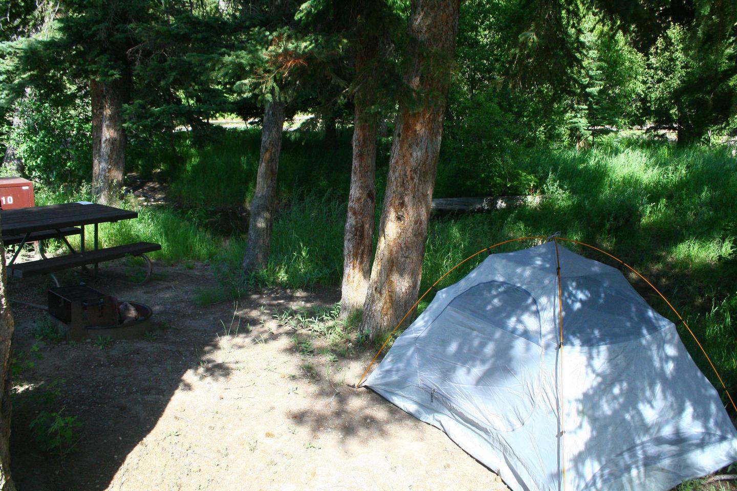 Slough Creek Campground site #10.Slough Creek Campground site #10
