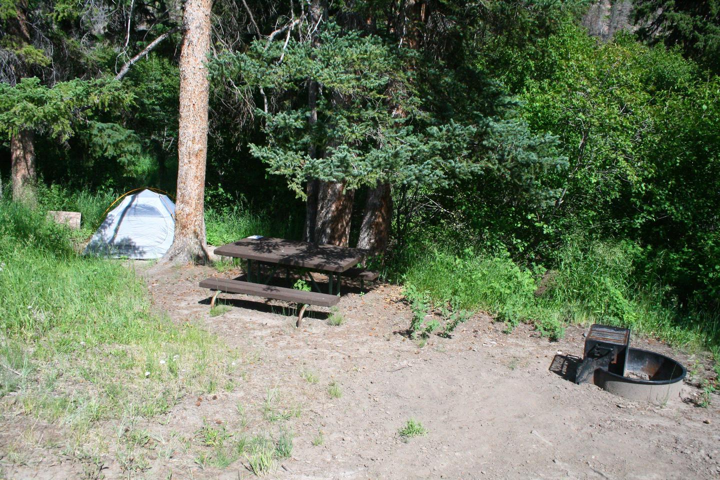 Slough Creek Campground site #9..Slough Creek Campground site #9