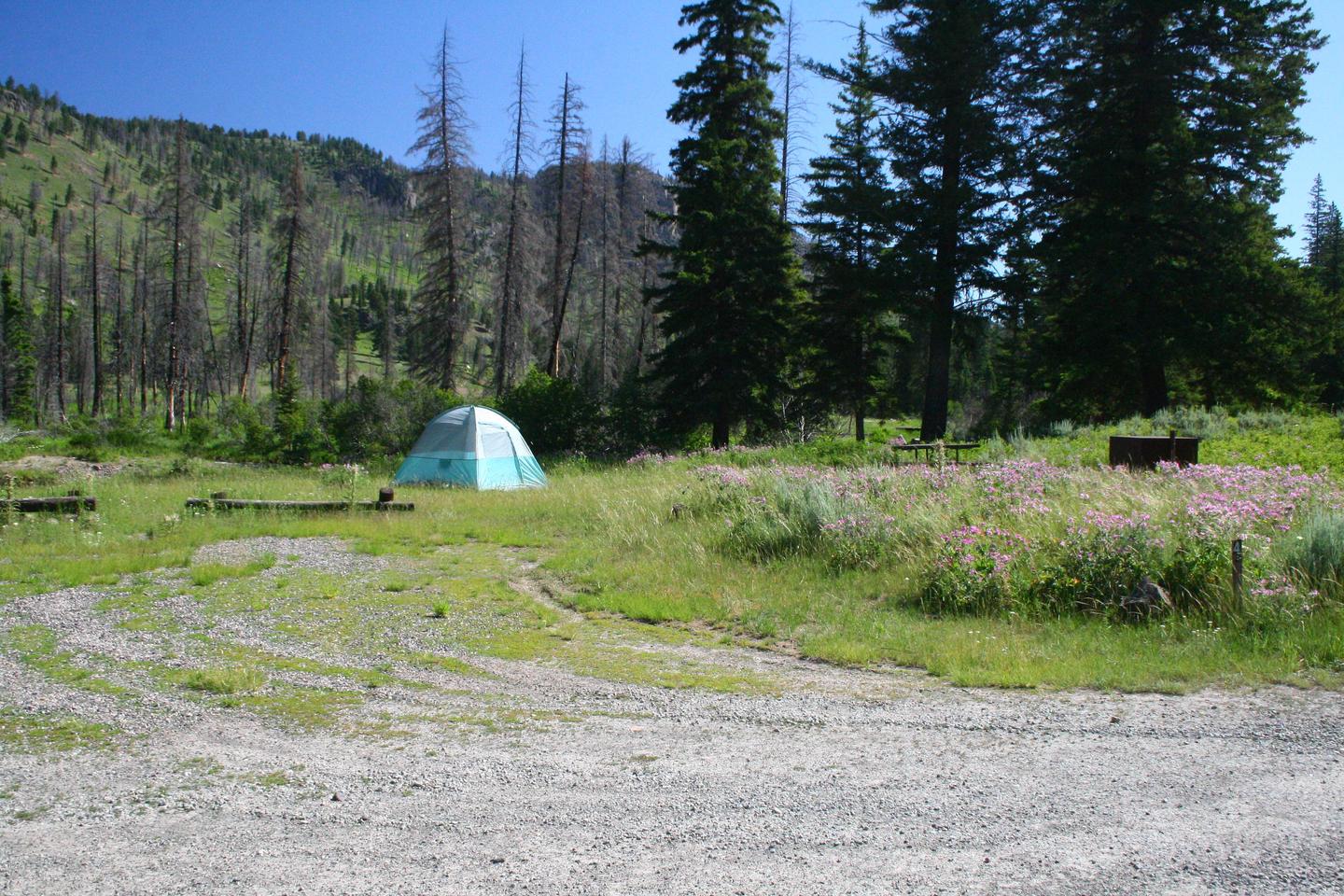 Slough Creek Campground site #4