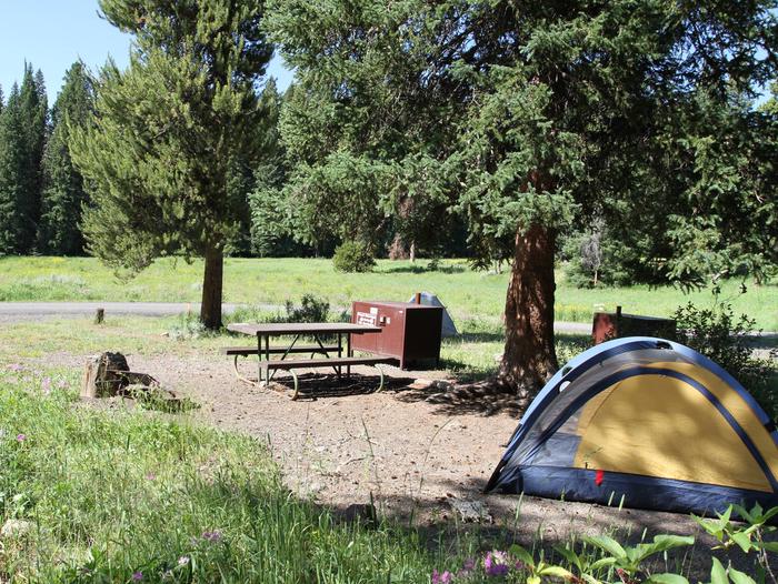 Pebble Creek Campground site #6