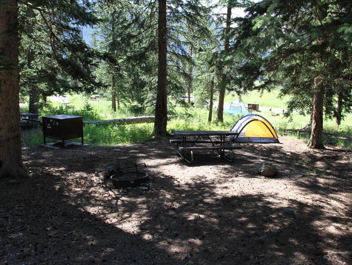 Pebble Creek Campground site #10