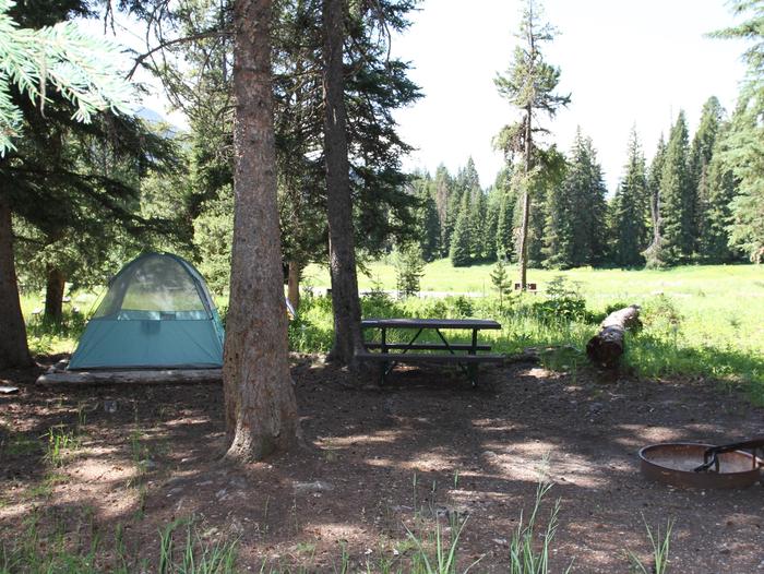 Pebble Creek Campground site #11