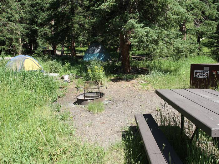 Pebble Creek Campground site #12