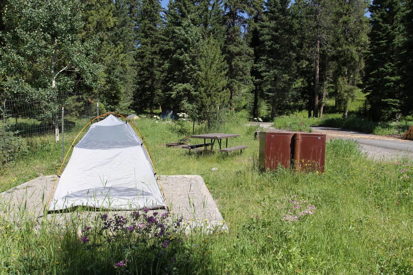 Pebble Creek Campground site #13
