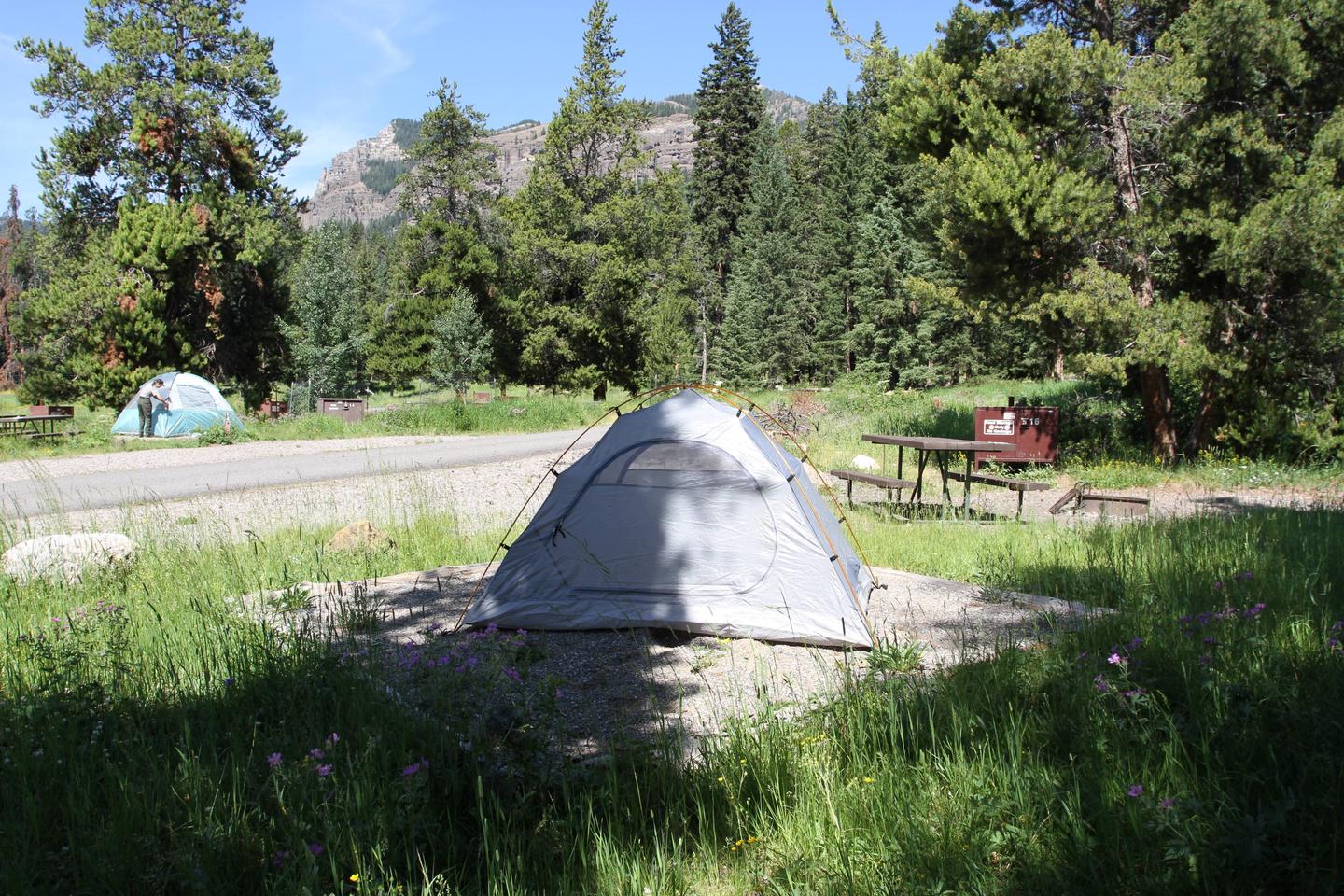 Pebble Creek Campground site #16.Pebble Creek Campground site #16