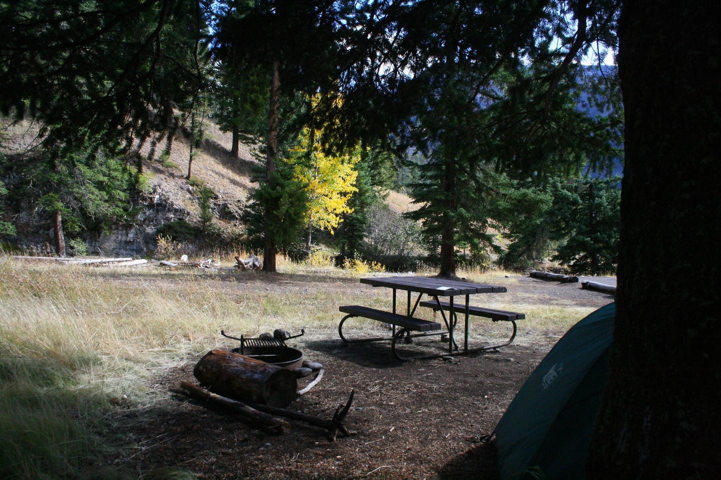 Pebble Creek Campground site #21