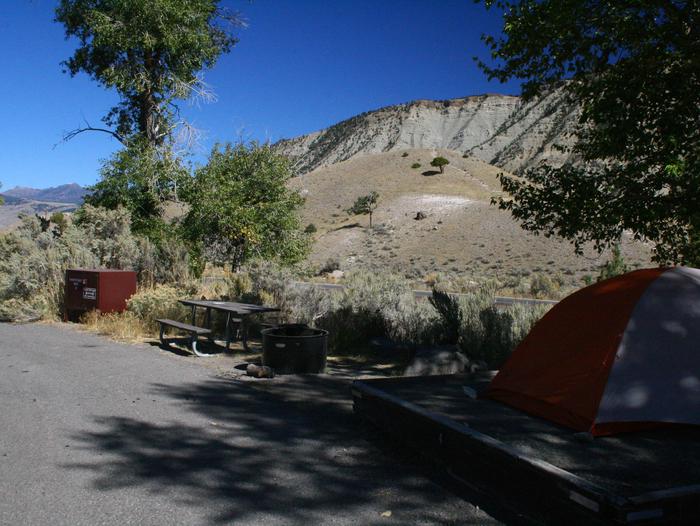 Mammoth Campground site #4