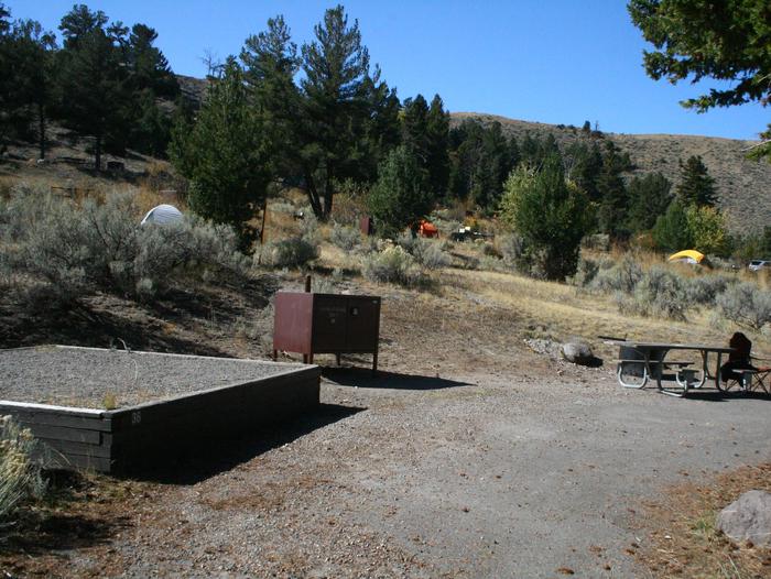 Mammoth Hot Springs Campground Site 36