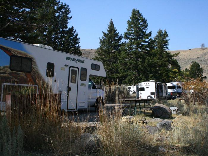 Mammoth Hot Springs Campground Site 37