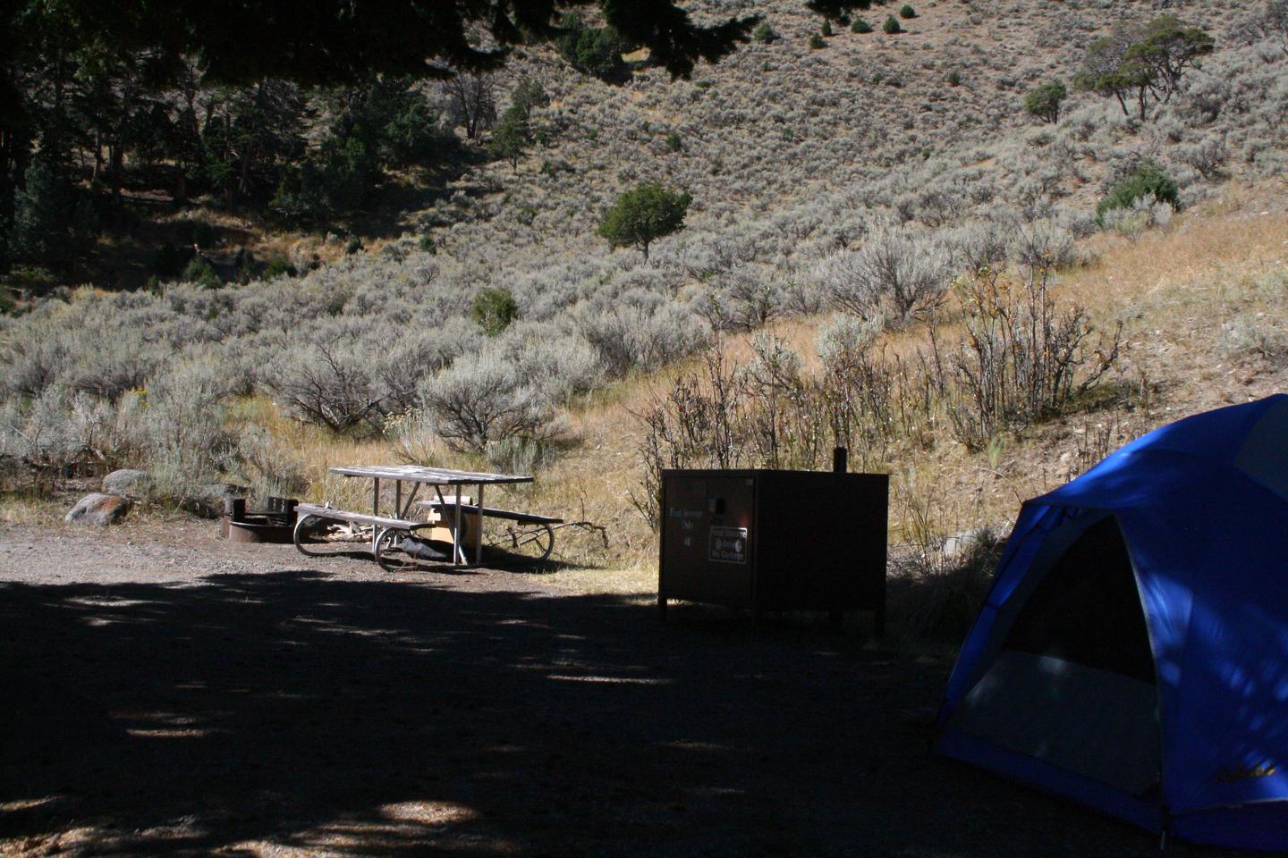 Mammoth Hot Springs Campground Site 48