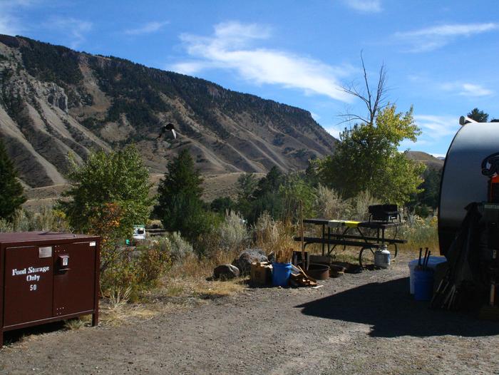 Mammoth Hot Springs Campground Site 50