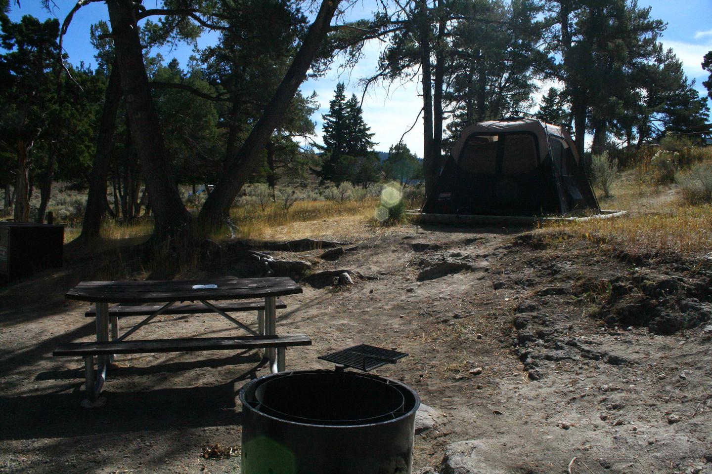 Mammoth Hot Springs Campground Site 70