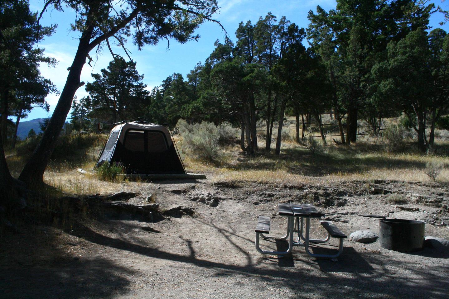 Mammoth Hot Springs Campground Site 70..Mammoth Hot Springs Campground Site 70