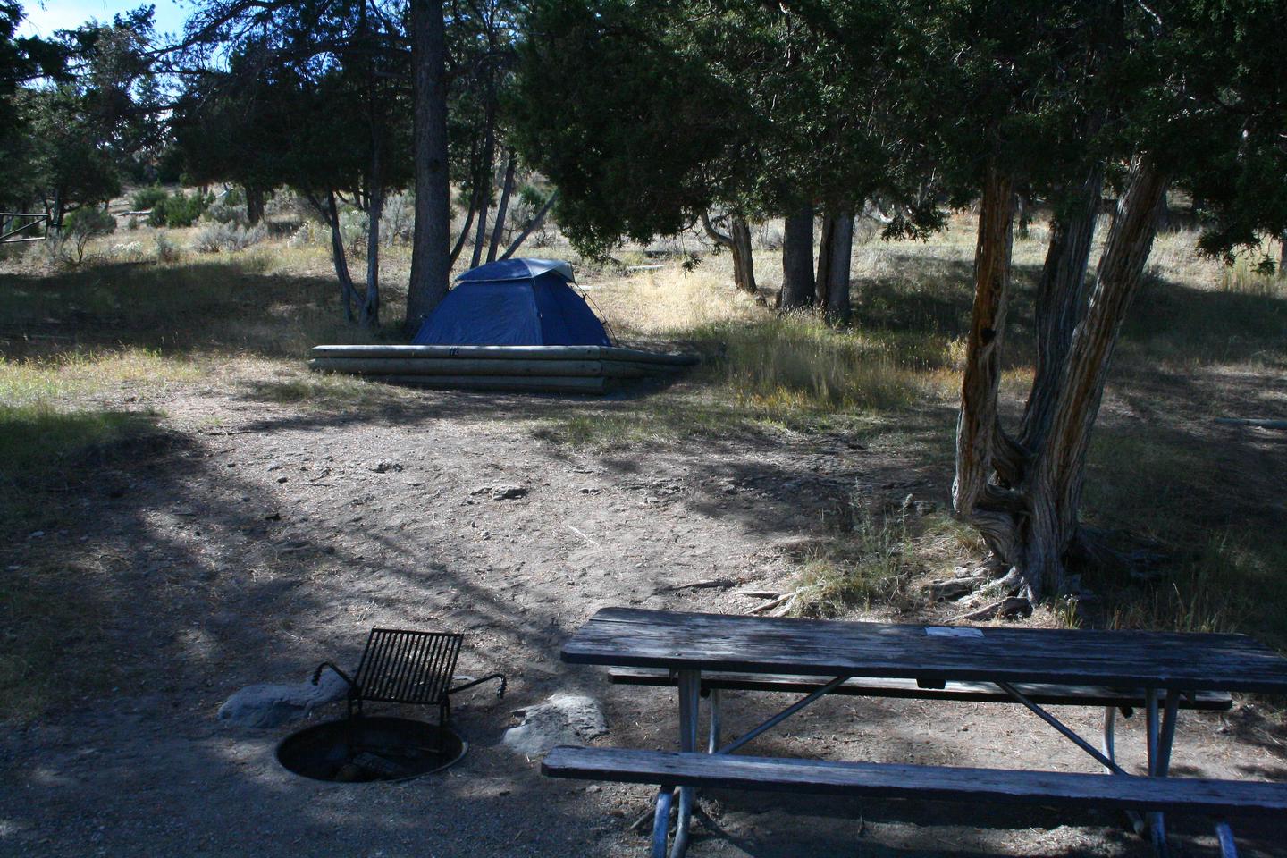 Mammoth Hot Springs Campground Site 72...Mammoth Hot Springs Campground Site 72