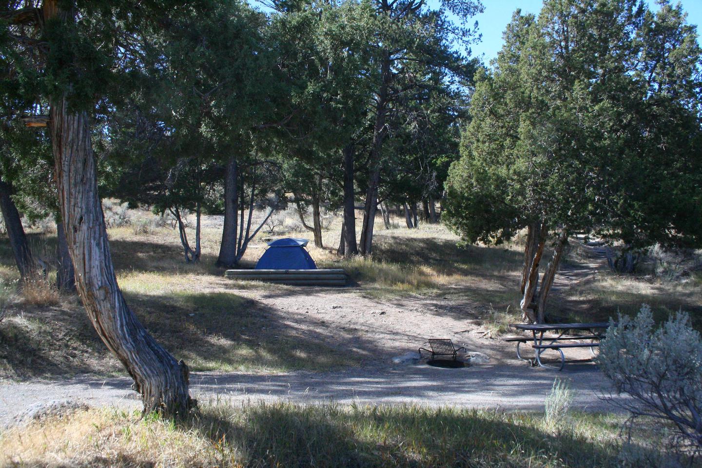 Mammoth Hot Springs Campground Site 72..Mammoth Hot Springs Campground Site 72
