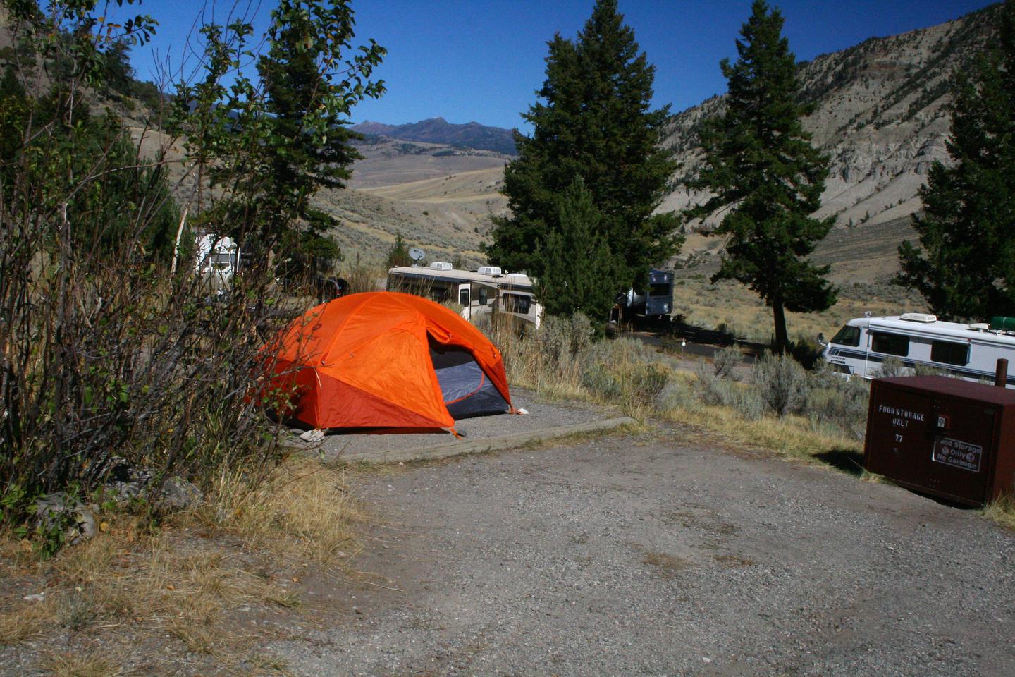 Mammoth Hot Springs Campground Site 77