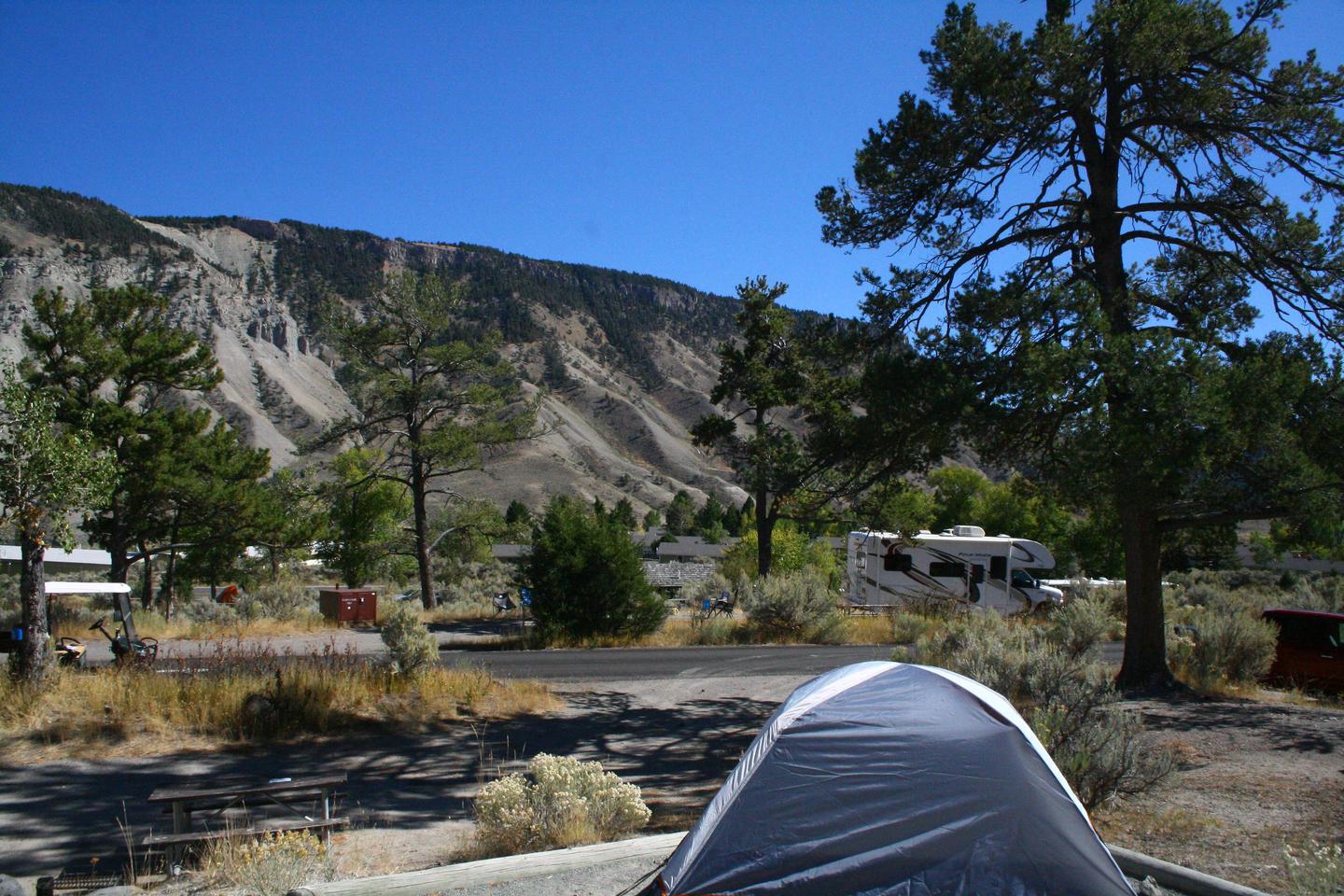 Mammoth Hot Springs Campground Site 82.Mammoth Hot Springs Campground Site 82