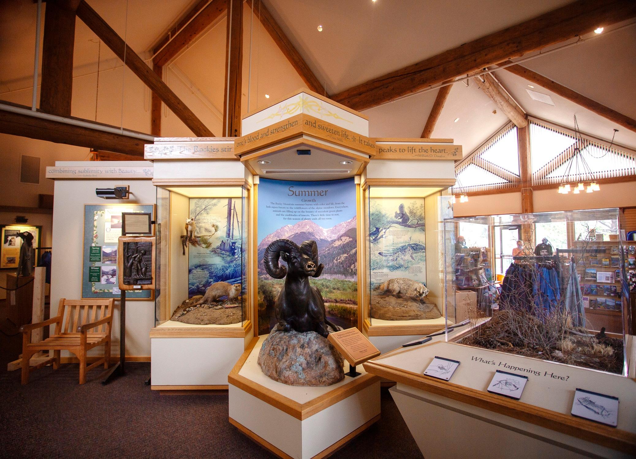 Bighorn Sheep at Fall River Visitor Center