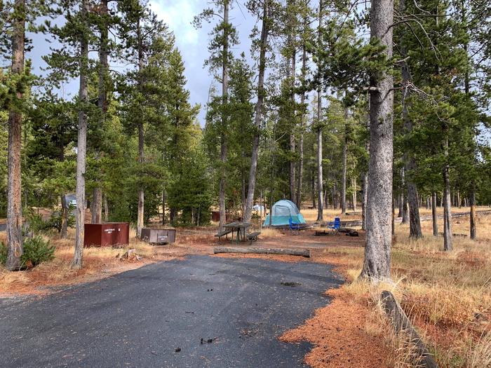 Norris Campground site 7