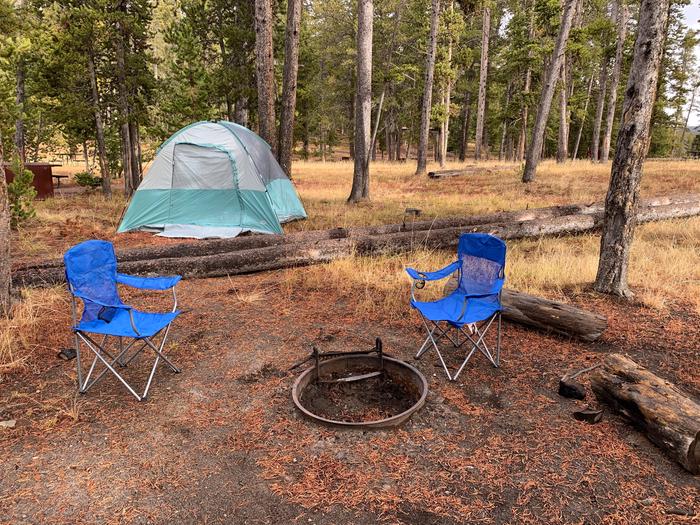 Norris Campground site 7.Norris Campground site 7