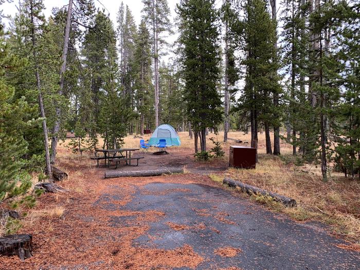 Norris Campground site 5