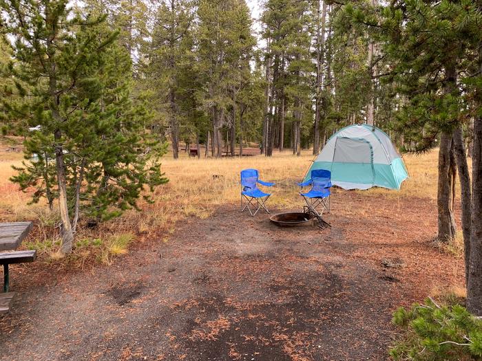 Norris Campground site 5