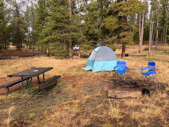 Norris Campground site 4