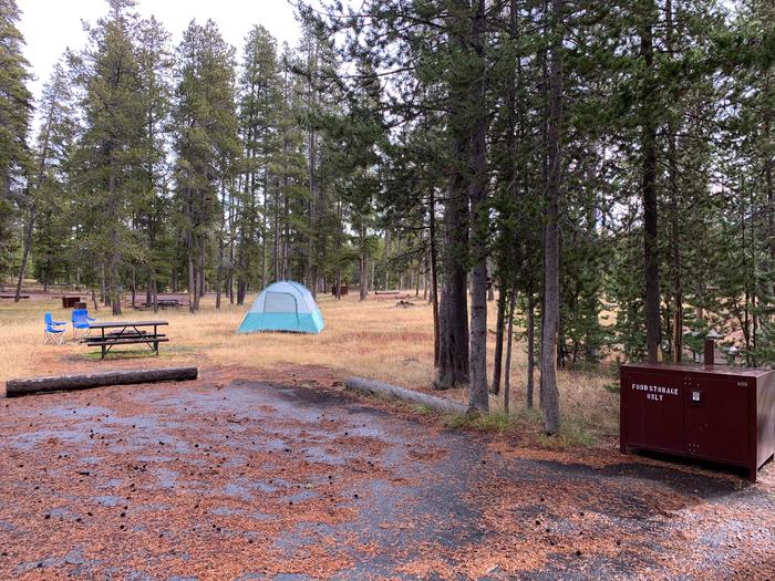 Norris Campground site 4