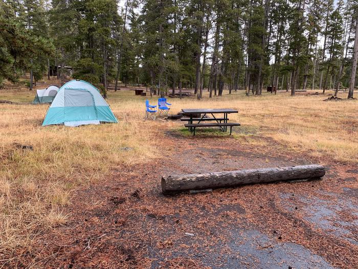 Norris Campground site 4...Norris Campground site 4