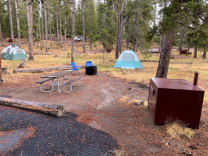 Norris Campground site 3