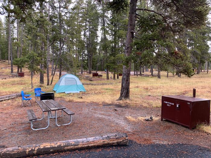 Norris Campground site 3.Norris Campground site 3