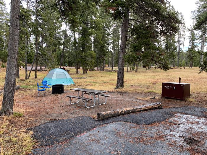 Norris Campground site 3