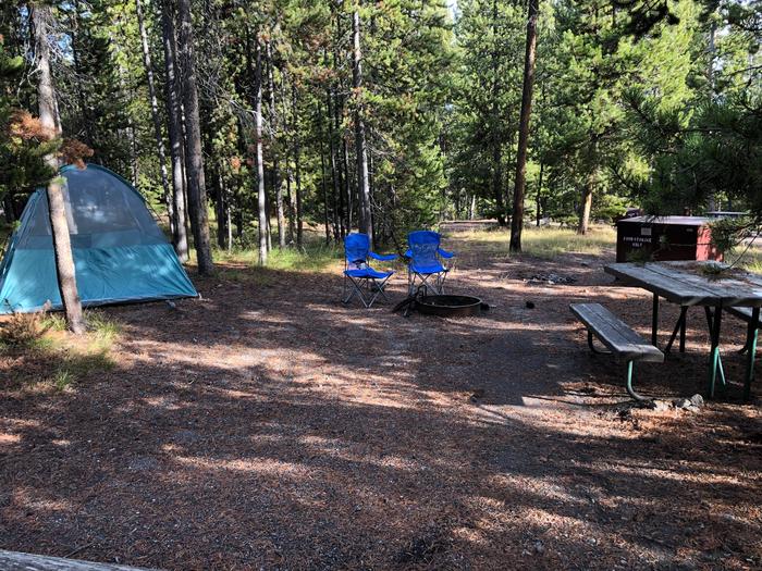 Norris Campground site 98...Norris Campground site 98