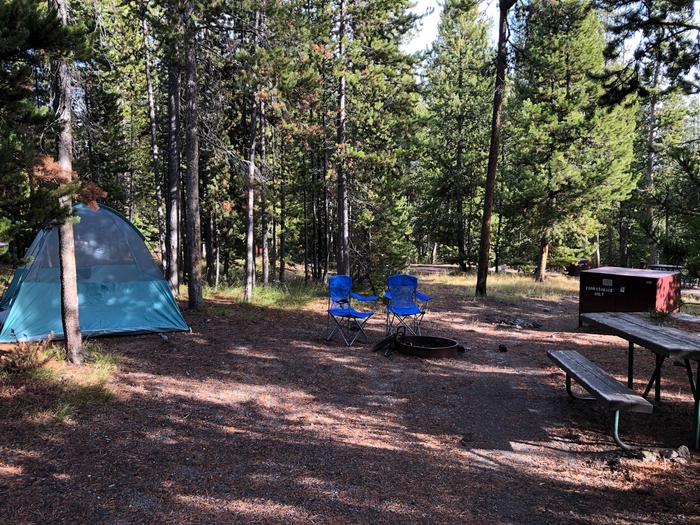 Norris Campground site 98..Norris Campground site 98