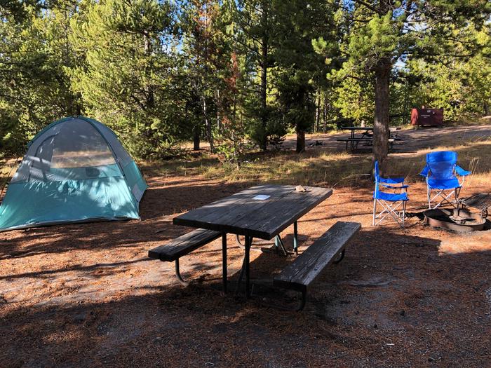 Site Norris Site #97, Norris Campground - Recreation.gov