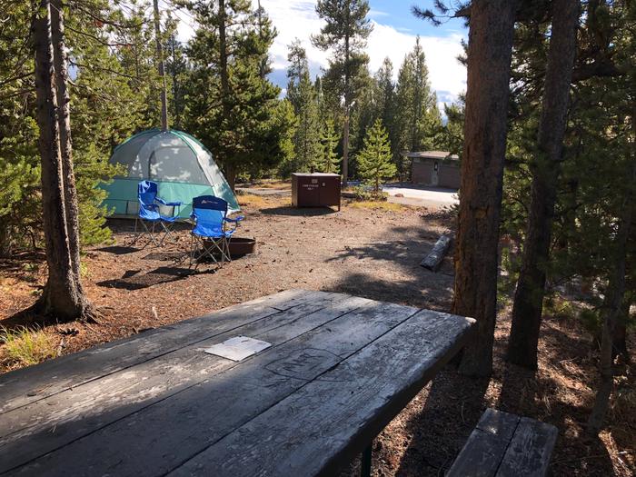 Site Norris Site #92, Norris Campground - Recreation.gov