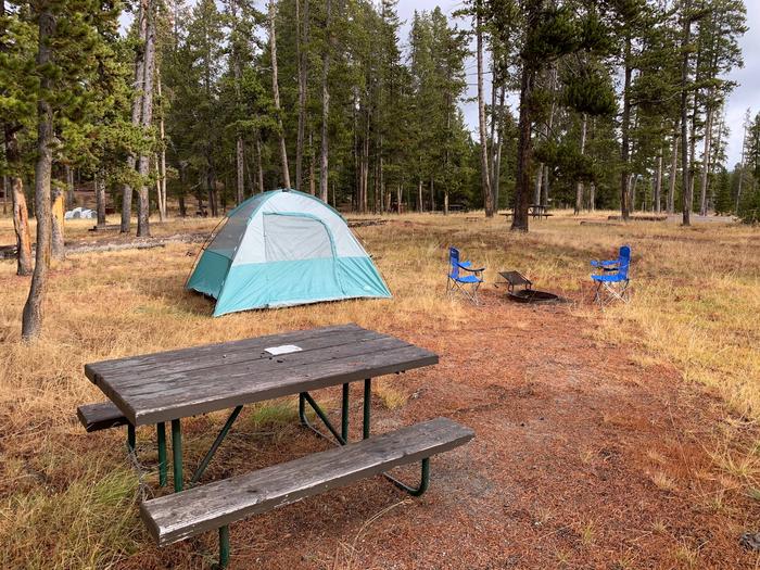 Norris Campground site 10