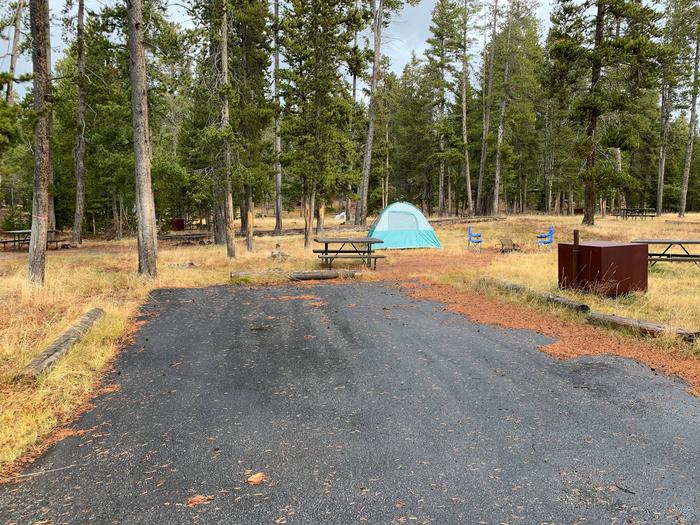 Norris Campground site 10..Norris Campground site 10