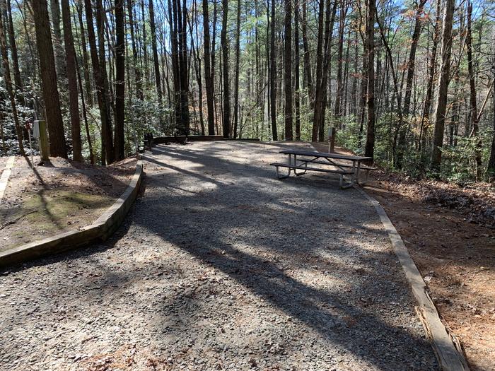 Long gravel site with fire pit, table, grill surrounded by tall trees Gravel site with fire pit, table, grill 