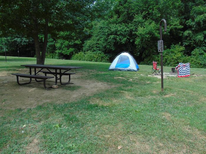 Steel Creek Camp Site #6