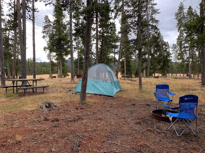 Norris Campground site 16