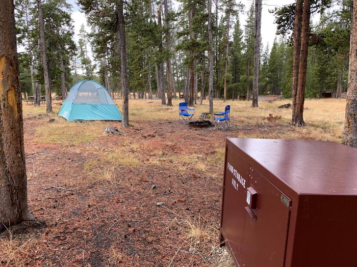 Norris Campground site 16