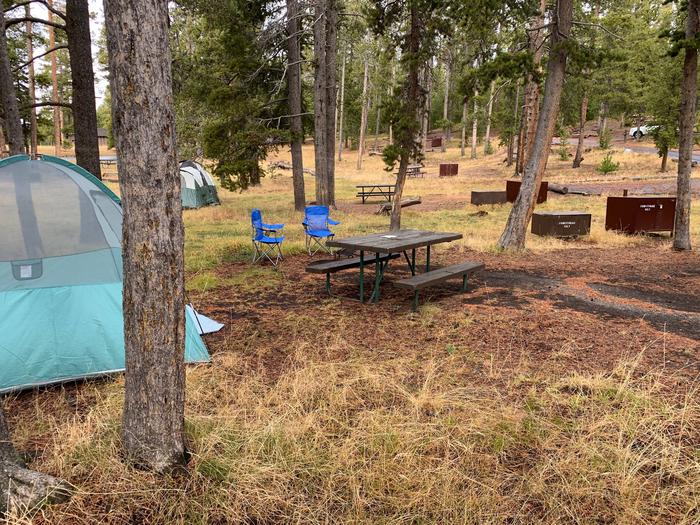 Norris Campground site 17