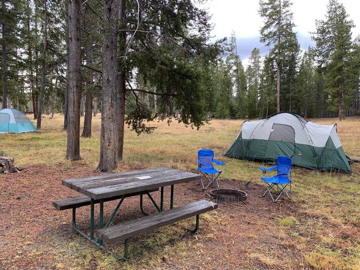 Norris Campground site 18