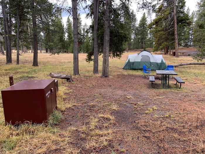 Norris Campground site 18