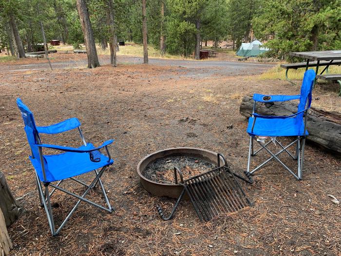 Norris Campground site 26