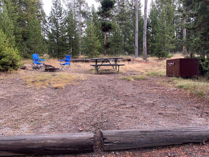 Norris Campground site 29