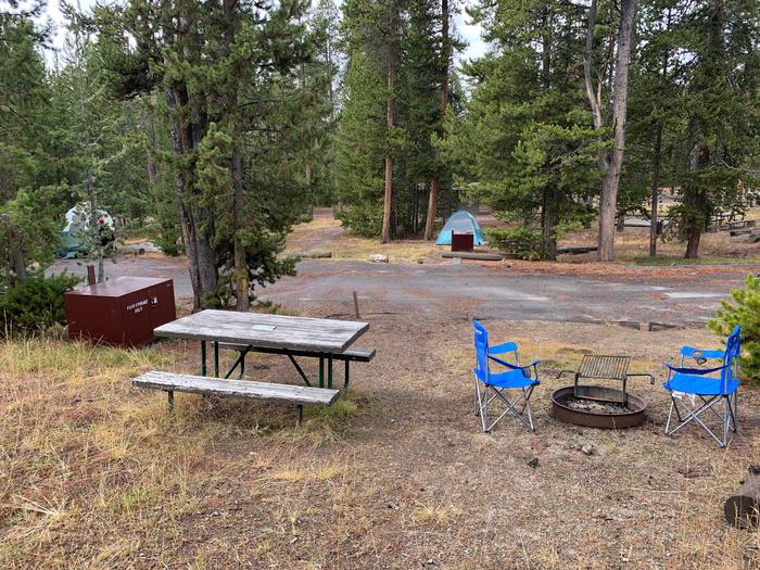 Norris Campground site 29